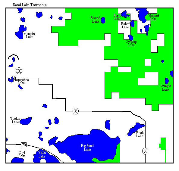 Sand Lake Township