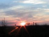 Crex Meadows: Burnett County, Wisconsin.