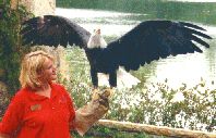 Zoo picture