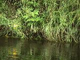 St. Croix Scenic Riverway