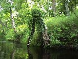 St. Croix Scenic Riverway